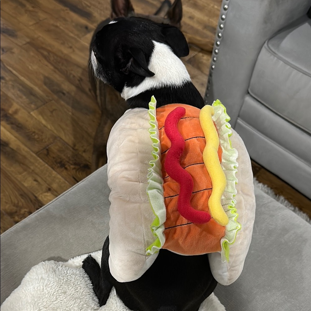 Dog Costume (Hotdog)